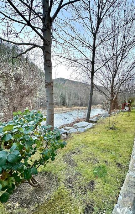 Acogedor Alojamiento En Martinet, Cerdanya, Puigcerda エクステリア 写真