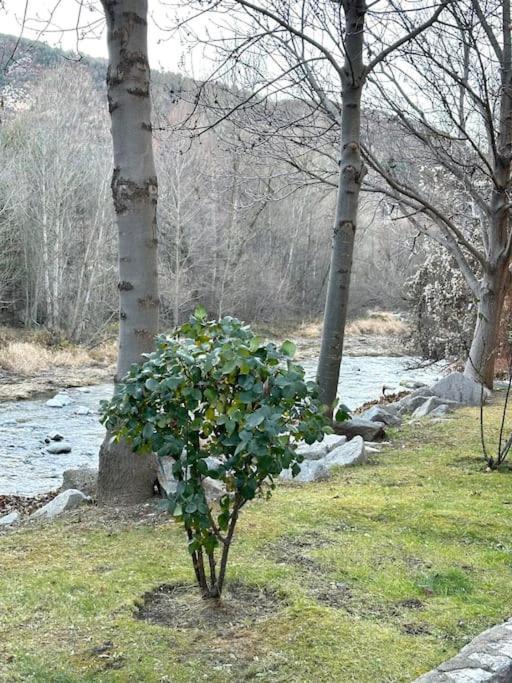 Acogedor Alojamiento En Martinet, Cerdanya, Puigcerda エクステリア 写真